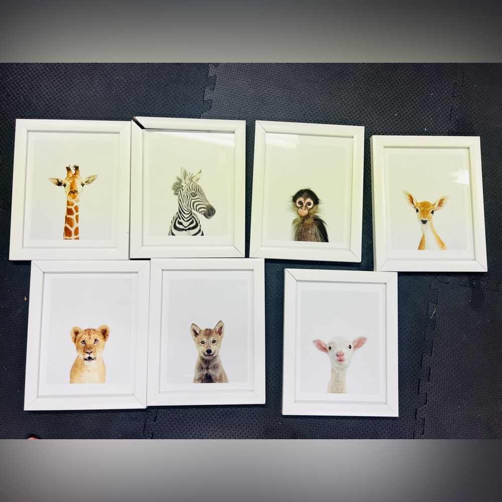 Set of 7 Nursery Animal Prints from The Animal Print Shop - No Frames